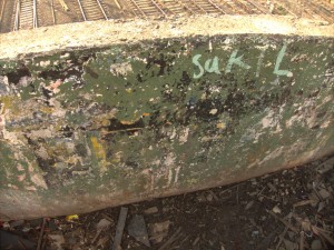 indickegraffitialebospina