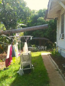 379649_10200354280352365_1992105440_n