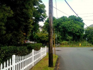 944147_10200354275632247_1147130353_n