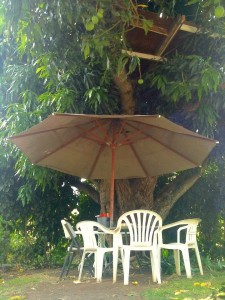 944333_10200354281512394_676771079_n